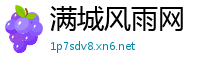 满城风雨网